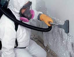 Best Attic Mold Removal in Elmira, NY